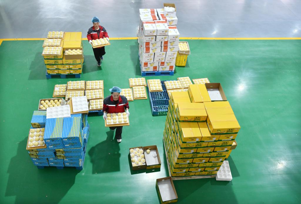 ????? ??????? ??????? ?? ?????? ??? ??? ????????? ???? ???