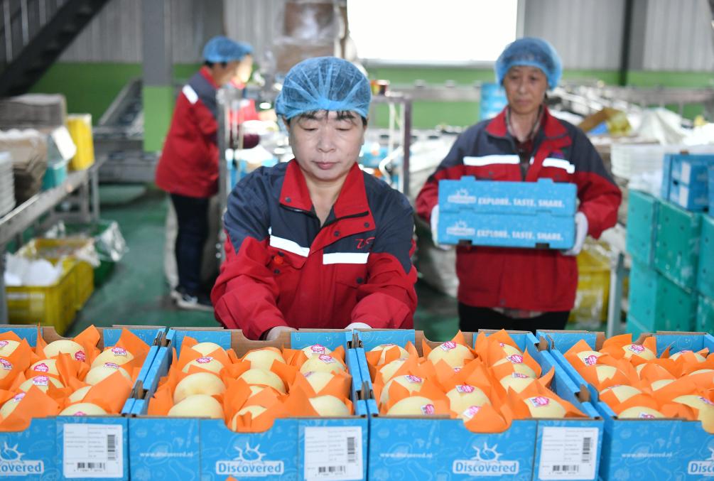 ????? ??????? ??????? ?? ?????? ??? ??? ????????? ???? ???