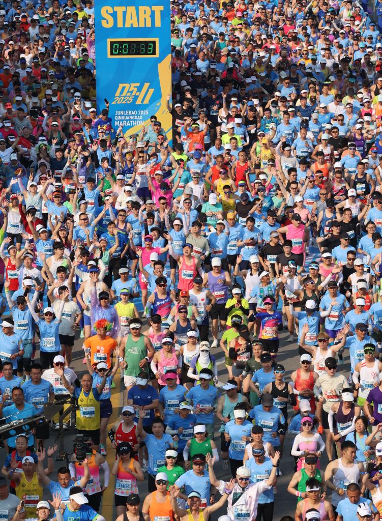 ??????: ?????? ??????? ???????????? ?? ????? ????? ??????? ???? ?? 17 ??? ??????