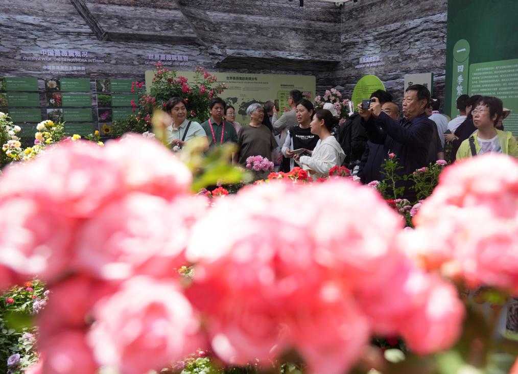 ??????: ???? ????? ?????? ??????? ??????? ????? ?????? ??????