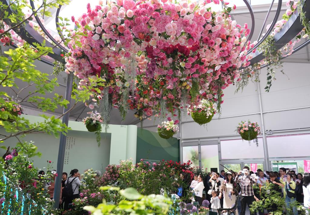 ??????: ???? ????? ?????? ??????? ??????? ????? ?????? ??????