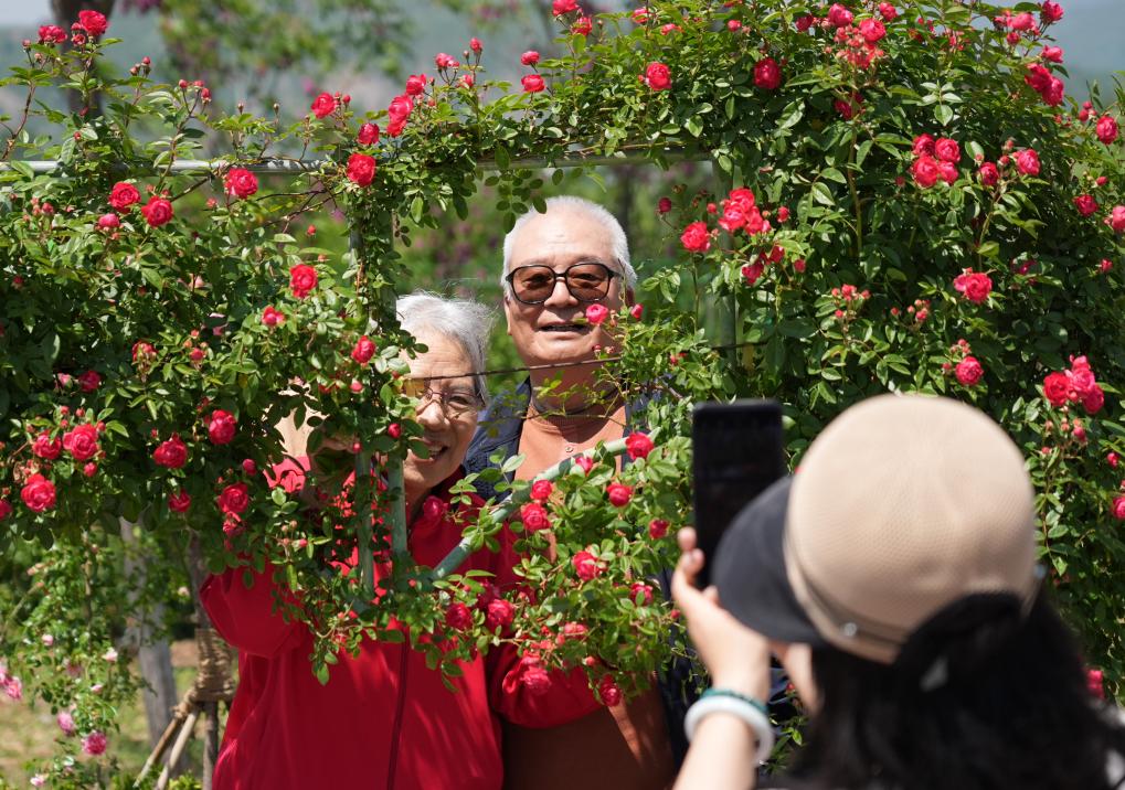 ??????: ???? ????? ?????? ??????? ??????? ????? ?????? ??????