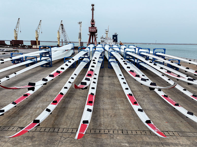 ???????????? ???????: ??? ????? ???? ?????? ??????? ??? ??????