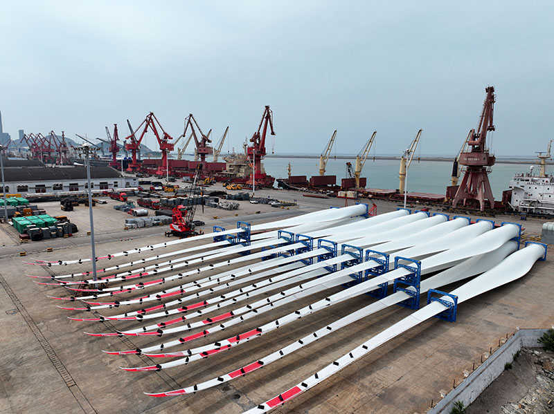 ???????????? ???????: ??? ????? ???? ?????? ??????? ??? ??????