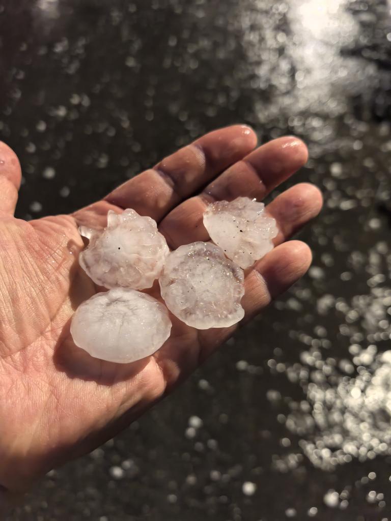 ??????: ????? ???? ??? ???? ????? ????? ?? ????