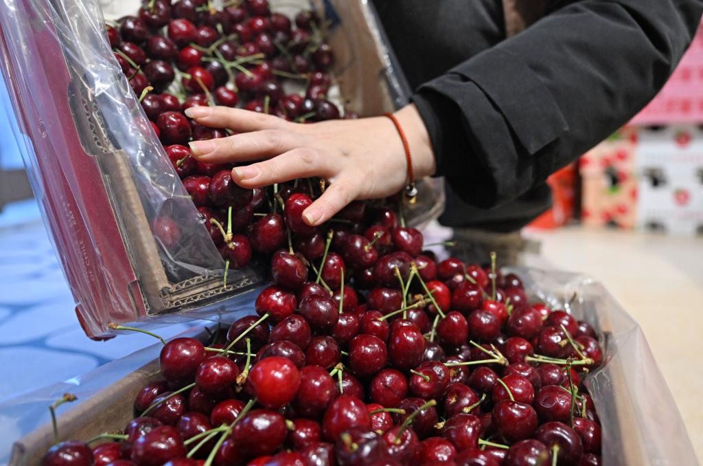 ????? ????? ??? ??????? ????? ???? ????? ??? ????? ????? ?? ??? ?? ??????