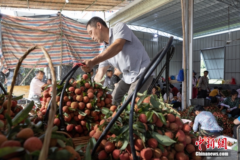 ???????? ?????????: ???? ????? ??????? ??????