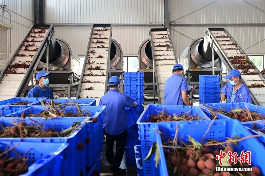 ???????? ?????????: ???? ????? ??????? ??????