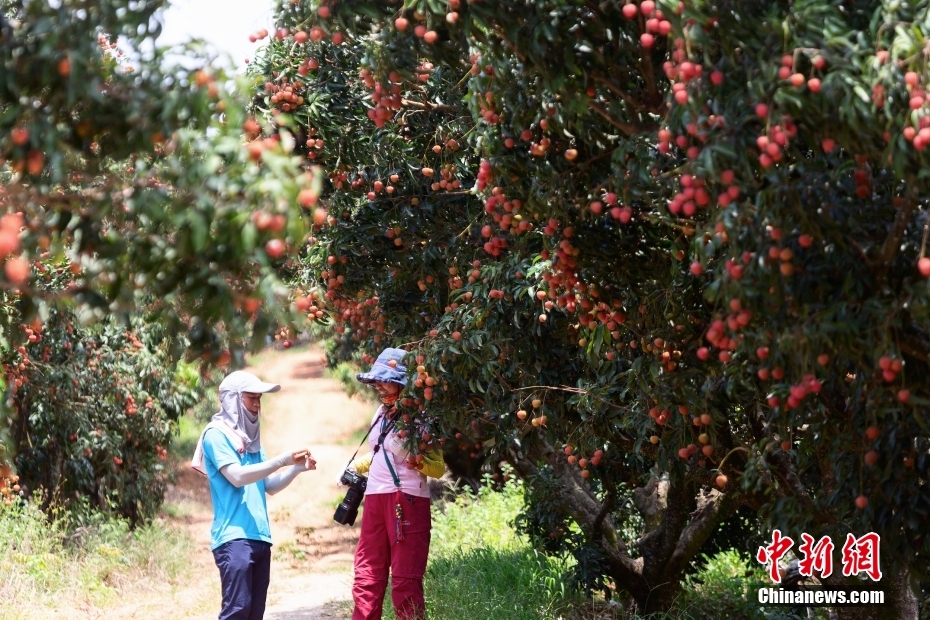 ???????? ?????????: ???? ????? ??????? ??????