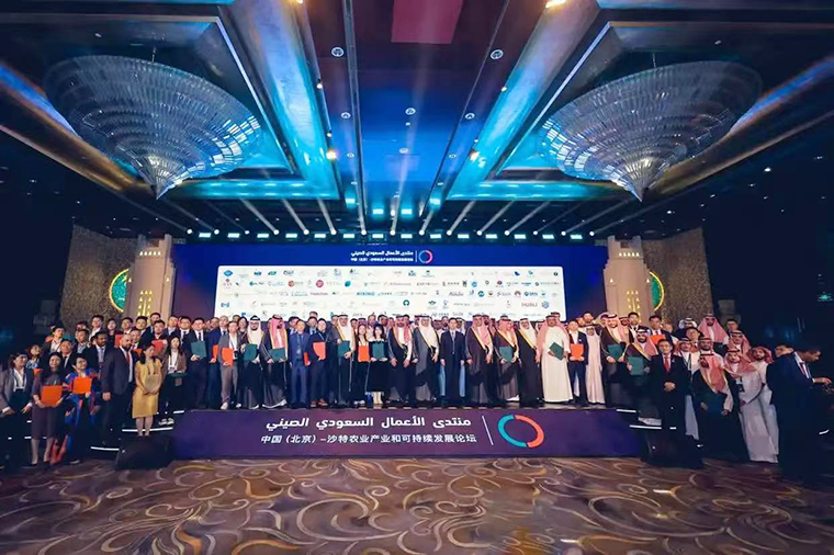 ???????? ?? 4 ??????? ????? ??? ???? ????? ????? ???? ????? ?????