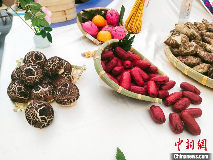 ??????? ???????? ?? ??????? ?????? ??????? ?????? ??????? ????????? ????????