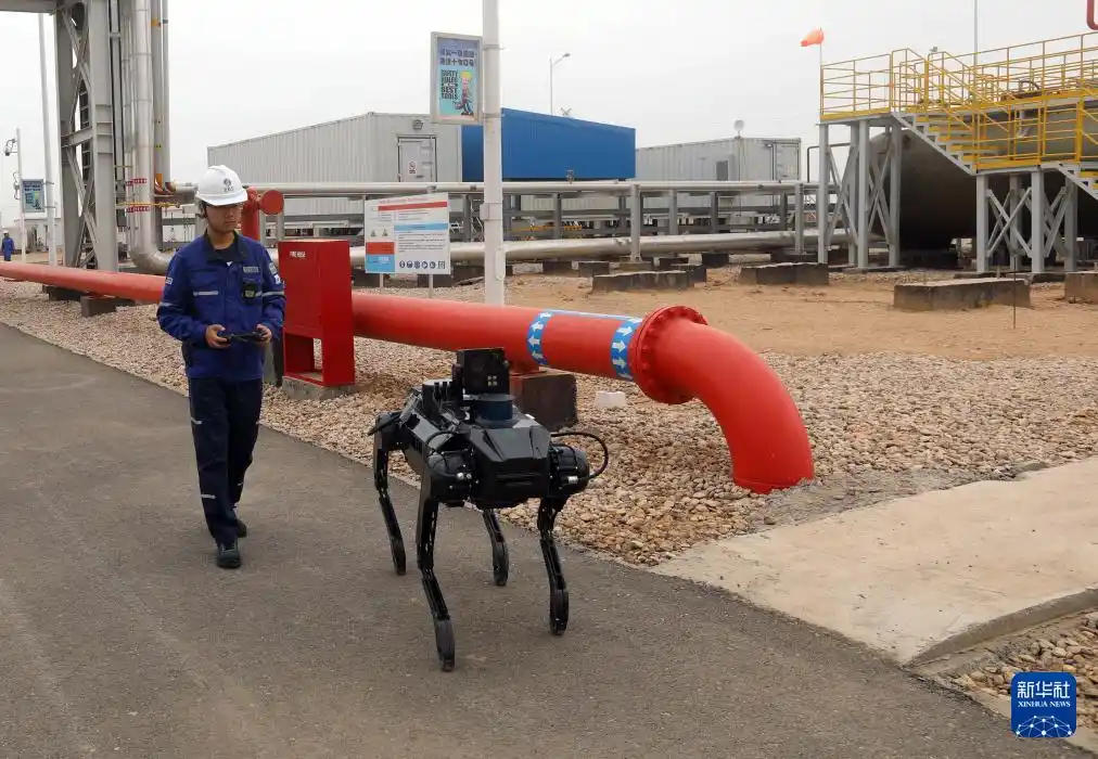 ??? ?????? ???? ???? ????? ??? ???? ?? ??????