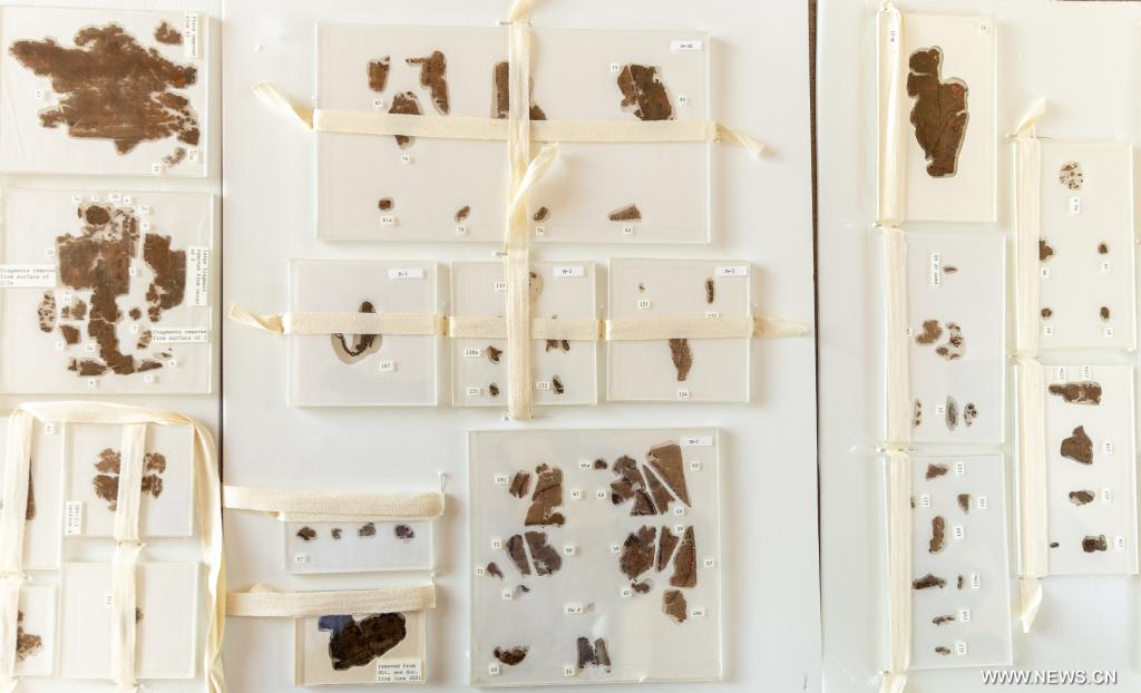 ???? ?????? ???? ??? ????? ??????? ?????? ????? ???? ??? ??? ??????? ?????????