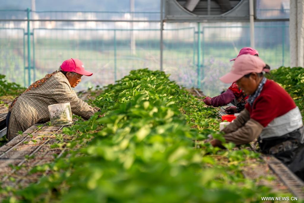 ???????? ???? ?????? ?????? ?? ?????? ???????? ?? ?????? ?????? ????? ???? ?????