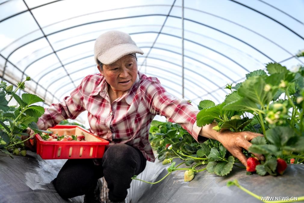 ???????? ???? ?????? ?????? ?? ?????? ???????? ?? ?????? ?????? ????? ???? ?????