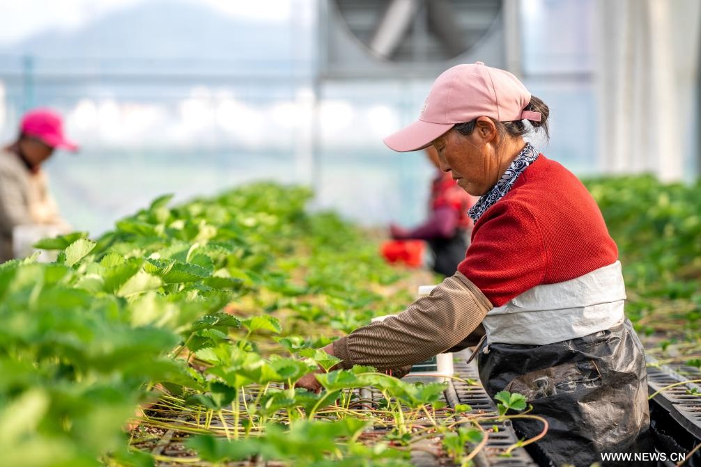 ???????? ???? ?????? ?????? ?? ?????? ???????? ?? ?????? ?????? ????? ???? ?????