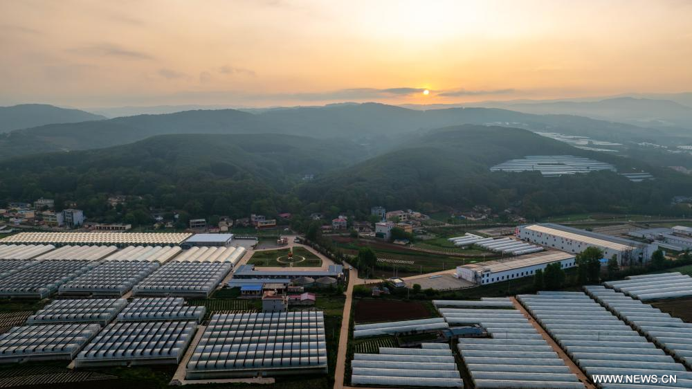 ???????? ???? ?????? ?????? ?? ?????? ???????? ?? ?????? ?????? ????? ???? ?????