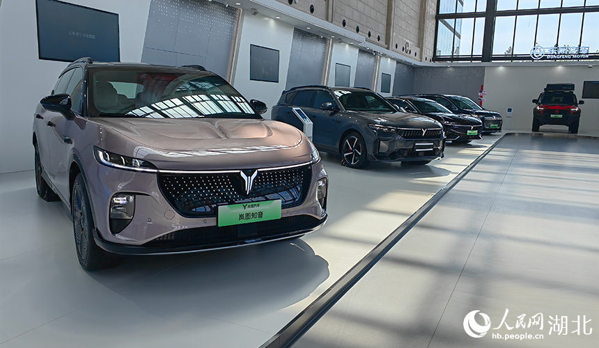 ???? ?? 6 ???? ????? ?????? ???? ?????