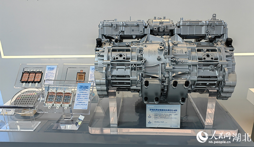 ???? ?? 6 ???? ????? ?????? ???? ?????