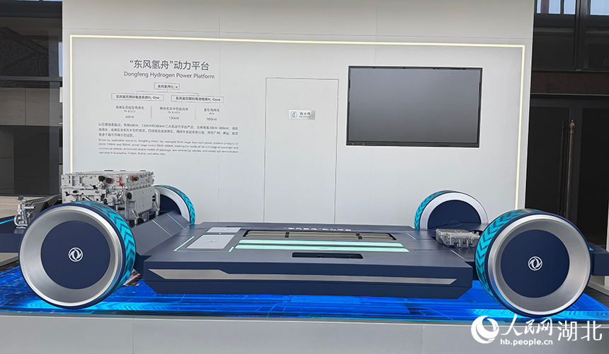 ???? ?? 6 ???? ????? ?????? ???? ?????