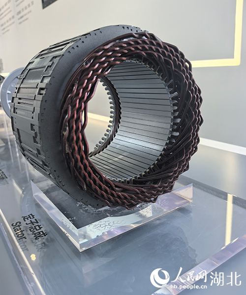 ???? ?? 6 ???? ????? ?????? ???? ?????