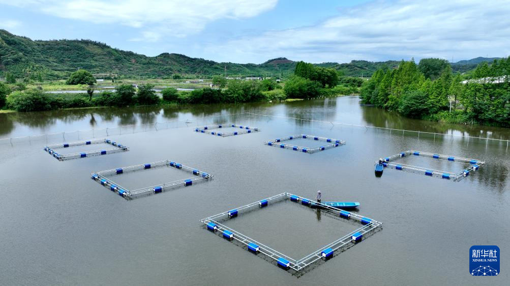 ?????? .. ???????? ????? ????? ???? ?????? ?????? ?????? ?? ?????? ??????? ????? ????? ????? ??? ???????