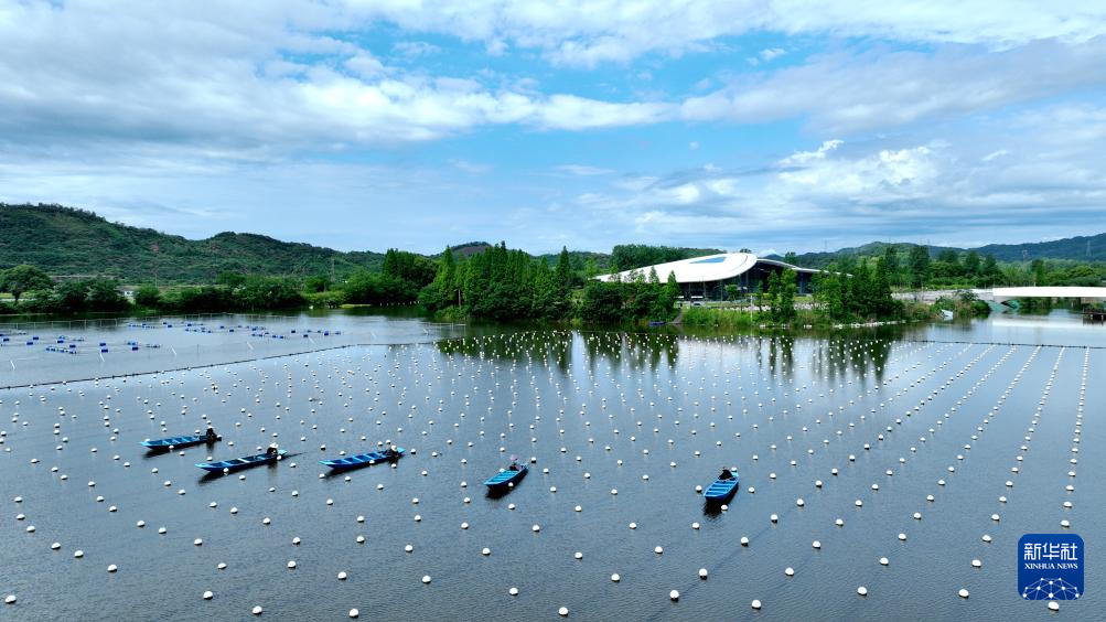 ?????? .. ???????? ????? ????? ???? ?????? ?????? ?????? ?? ?????? ??????? ????? ????? ????? ??? ???????