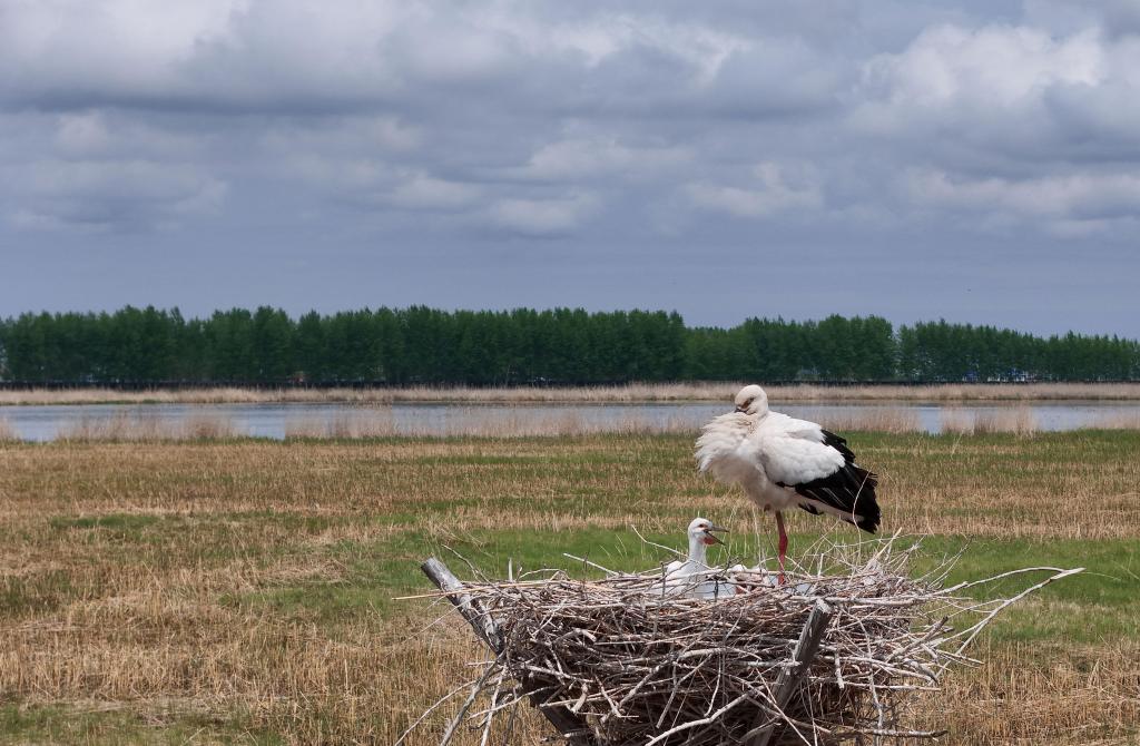 ??????: ????? ?????????? ???????? ??????? ?? ???? ???? ?????