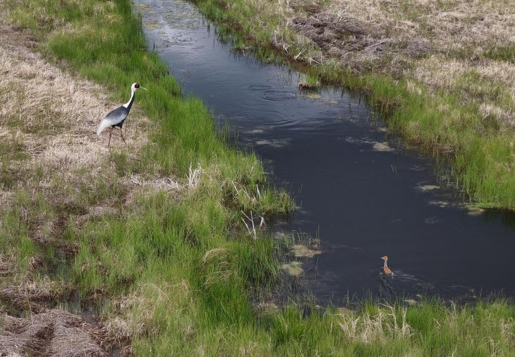 ??????: ????? ?????????? ???????? ??????? ?? ???? ???? ?????