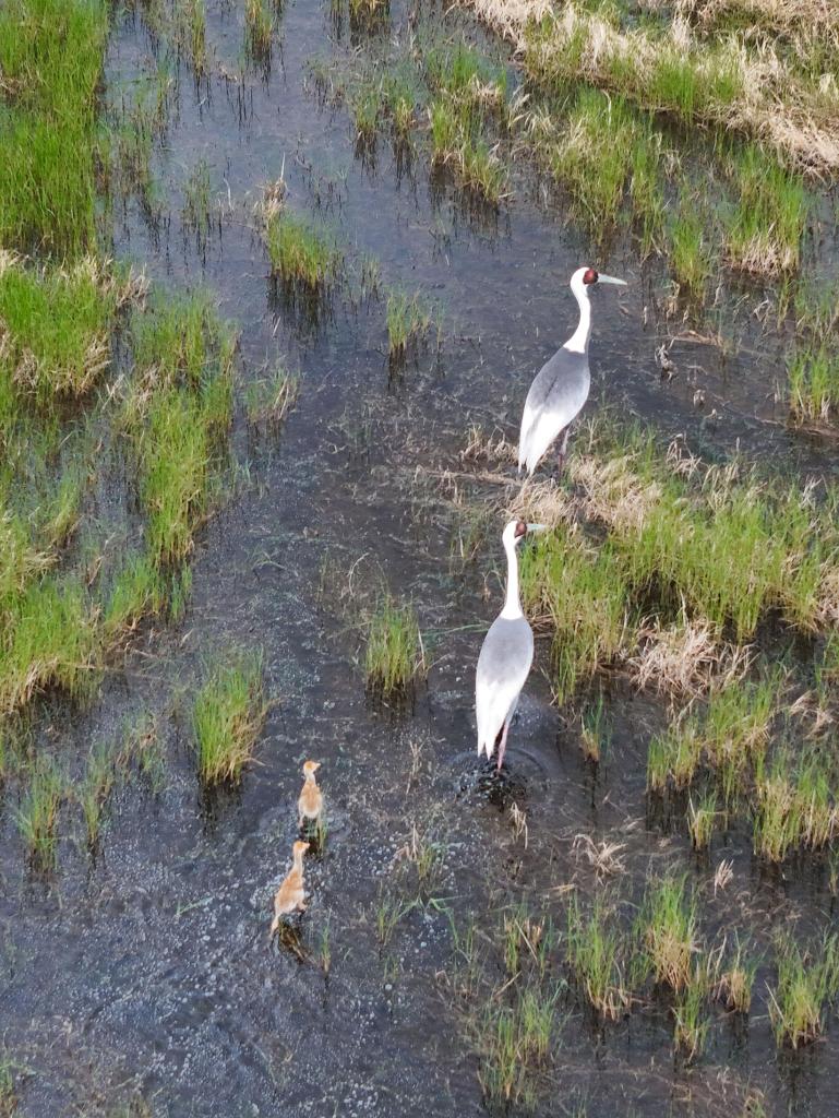 ??????: ????? ?????????? ???????? ??????? ?? ???? ???? ?????