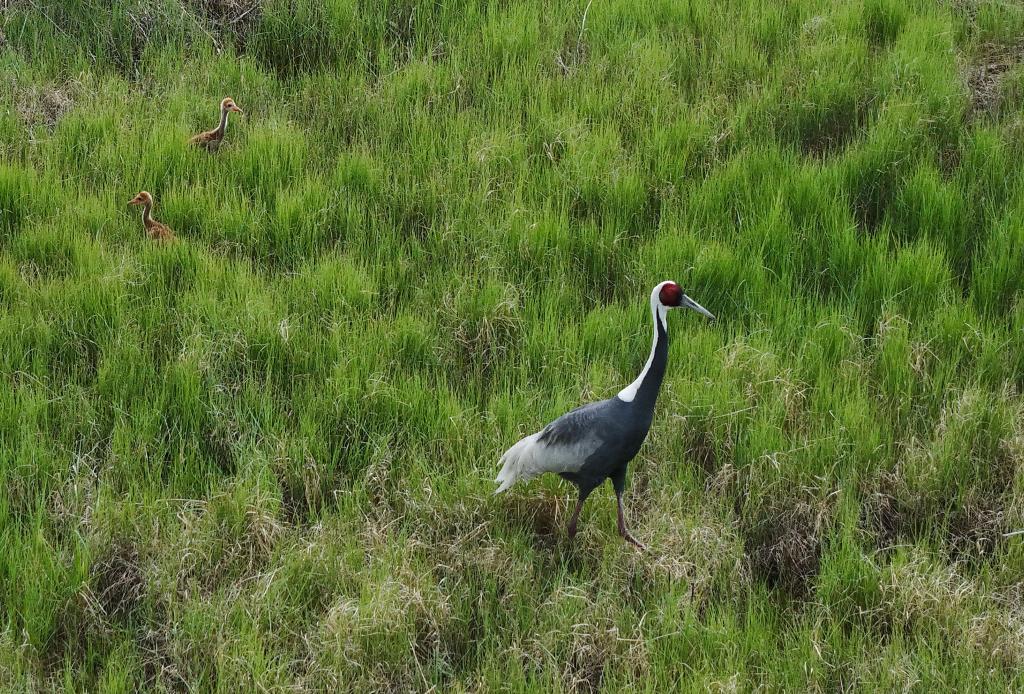 ??????: ????? ?????????? ???????? ??????? ?? ???? ???? ?????