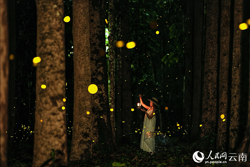 ???????? ???? ????? ???????????... ???? ???? ????? ?? ????? ????????