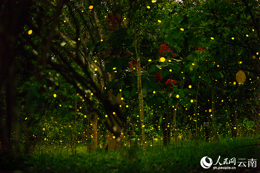 ???????? ???? ????? ???????????... ???? ???? ????? ?? ????? ????????