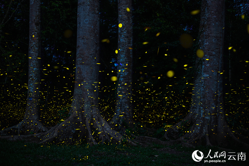 ???????? ???? ????? ???????????... ???? ???? ????? ?? ????? ????????