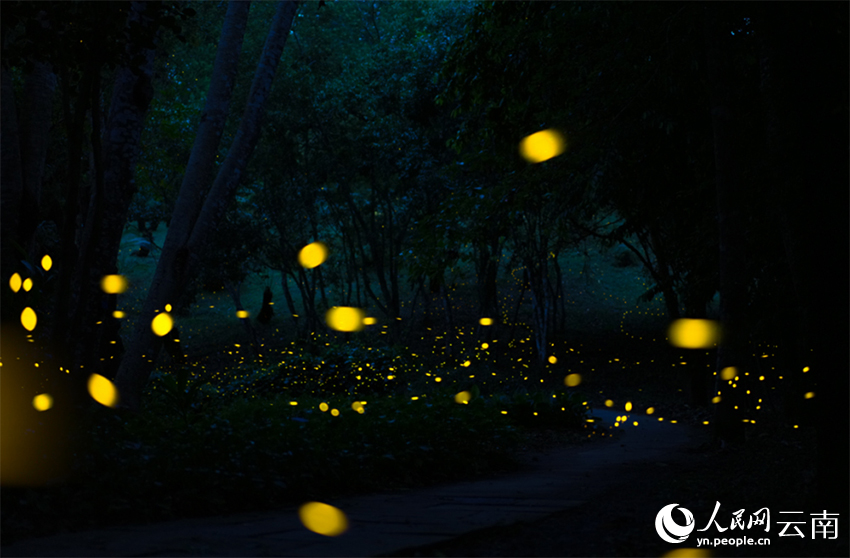 ???????? ???? ????? ???????????... ???? ???? ????? ?? ????? ????????