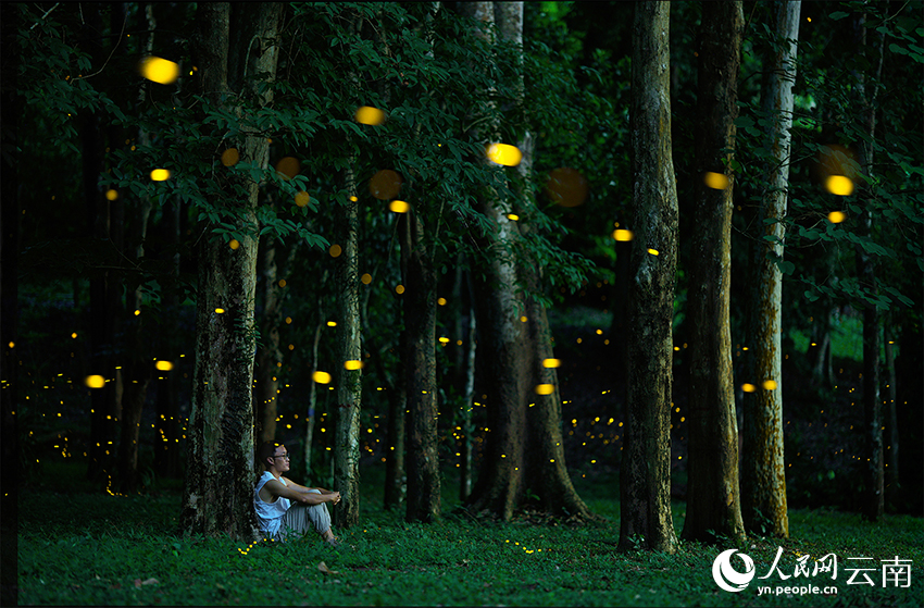 ???????? ???? ????? ???????????... ???? ???? ????? ?? ????? ????????