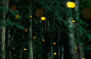 ???????? ???? ????? ???????????... ???? ???? ????? ?? ????? ????????