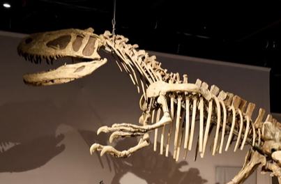 "???? ????????": ????? ??? ???? ??????????? ????? ??????