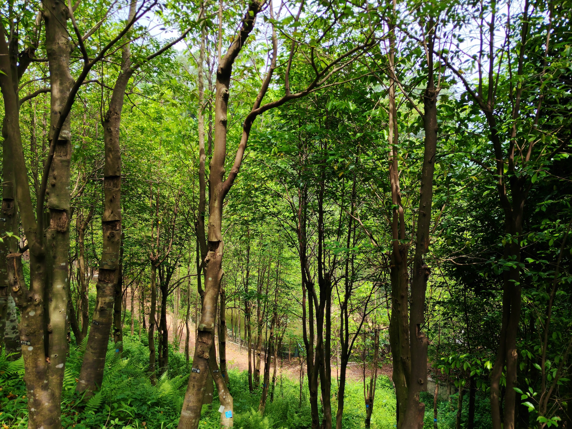 ????? ???? ?? ????? ?????: ??????? ?????? ??????? ??? ?????? ?? ????? ?????