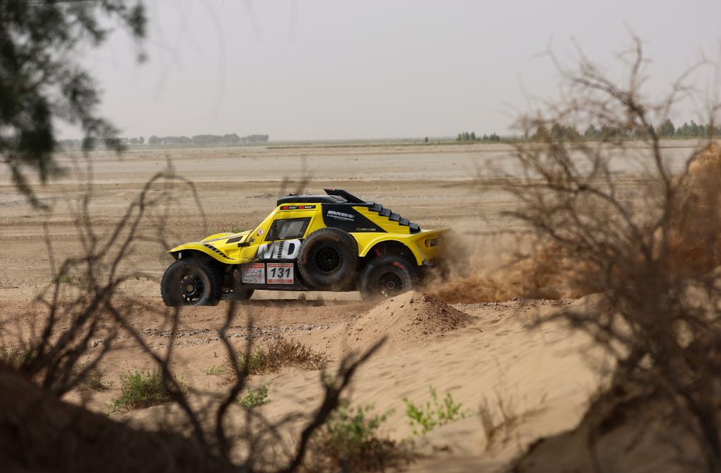 ??????: ???? ???? ?????????? 2025 ?? ???????? ???????