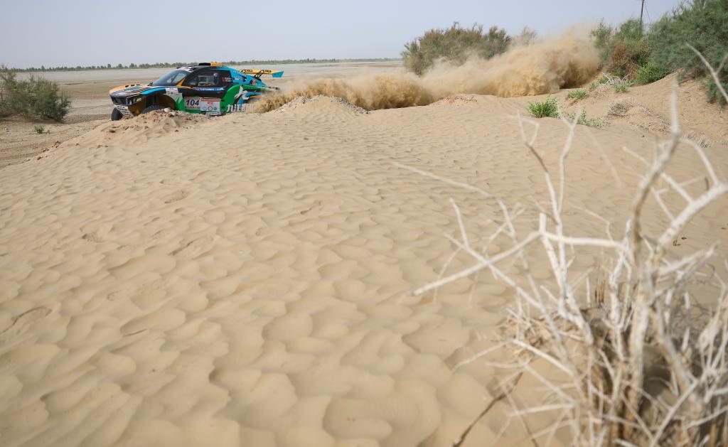 ??????: ???? ???? ?????????? 2025 ?? ???????? ???????