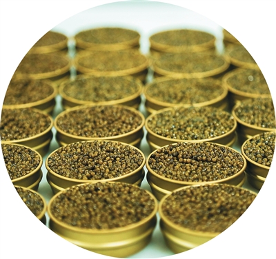 ????? ?? ???? ????? ?????