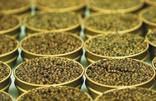 ????? ?? ???? ????? ????? " ????? ??????" ?? ??????