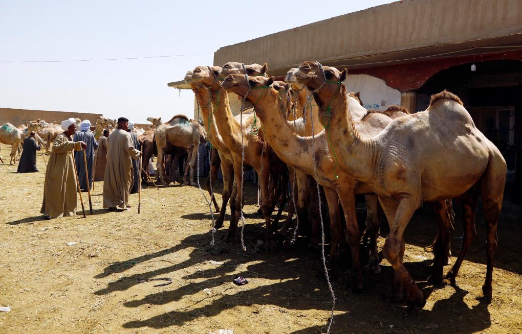 ??? ????? ????? ?? ?????? ?????? ????