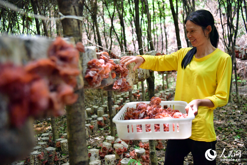 ?? ???????... ???? ??? ??????? ???????