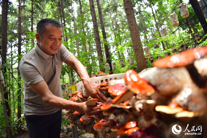 ?? ???????... ???? ??? ??????? ???????