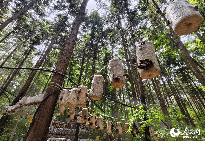 ?? ???????... ???? ??? ??????? ???????