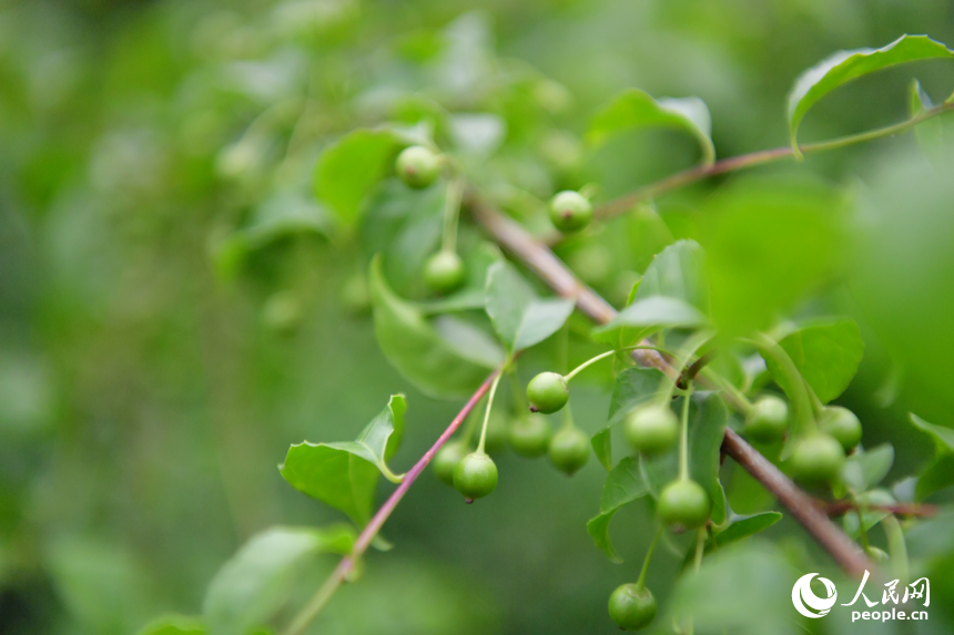 ?? ???????... ???? ??? ??????? ???????