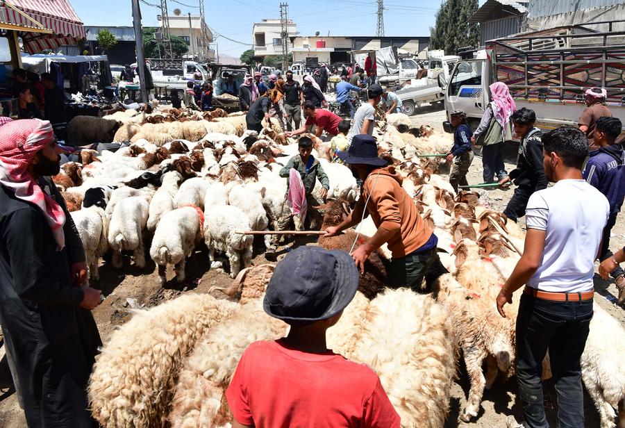 ????? ??????: ?? ????? ???? .. ?????? ??????? ??? ????? ????????? ??? ??? ??????