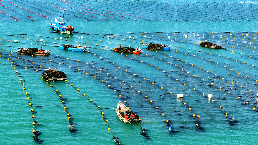 ???? ???..?????? ?????? ???????? ?????? ????? ?????? 1.39 ??????? ????? ??????